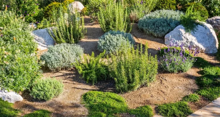 bb2ef9114088561a225add0dd8c49883a386c49a