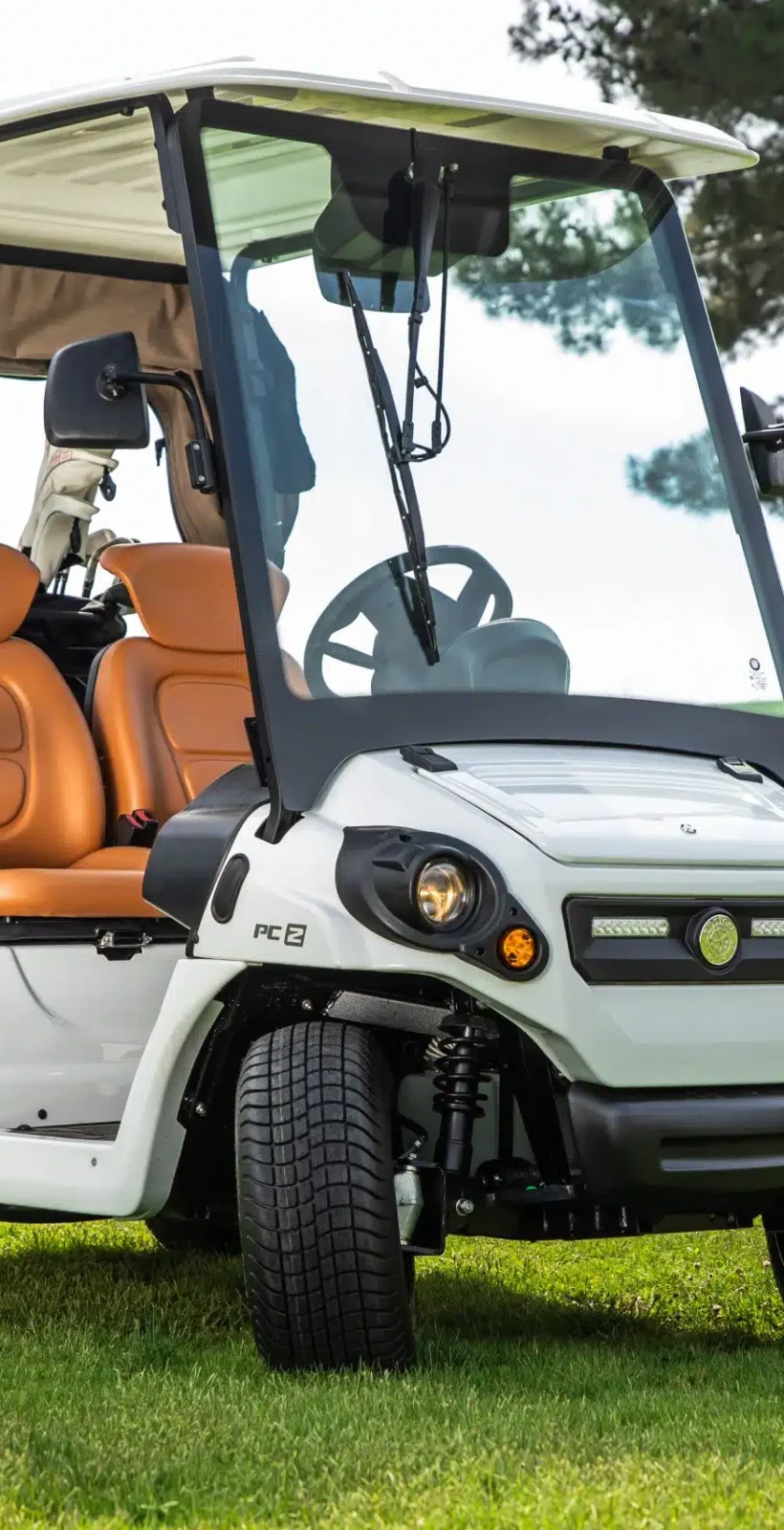 Voitures de golf et utilitaires